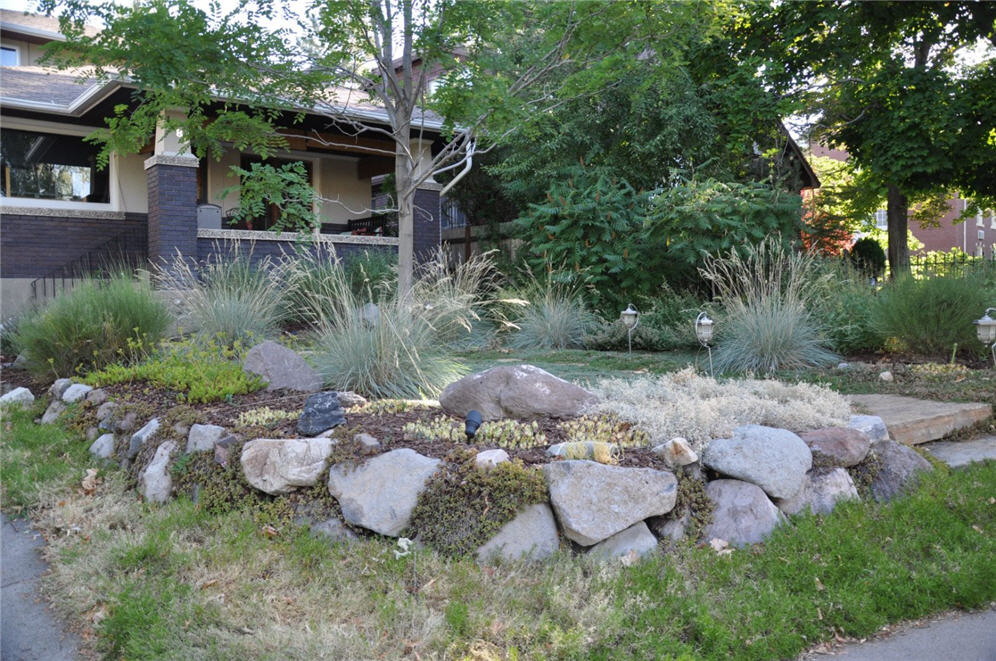 Dymondia Pond 7
