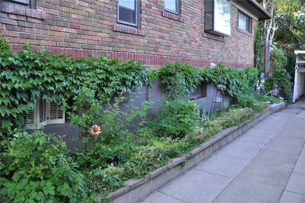 Ornament Garden 14