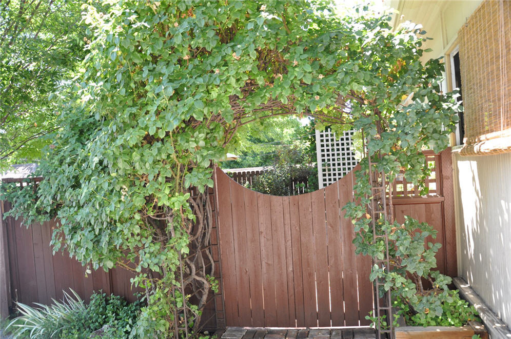 Brick Walk Garden 4