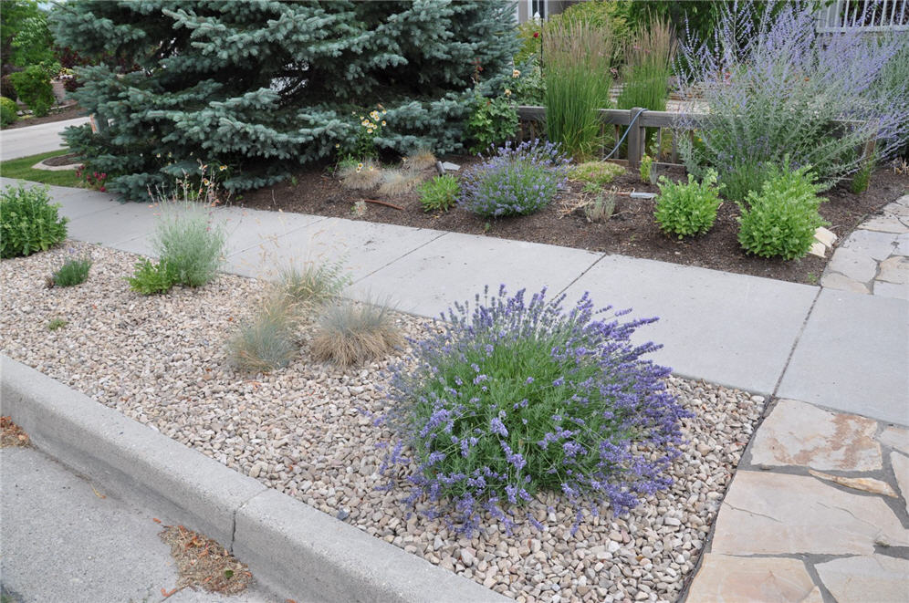 Flagstone Walk Garden 10