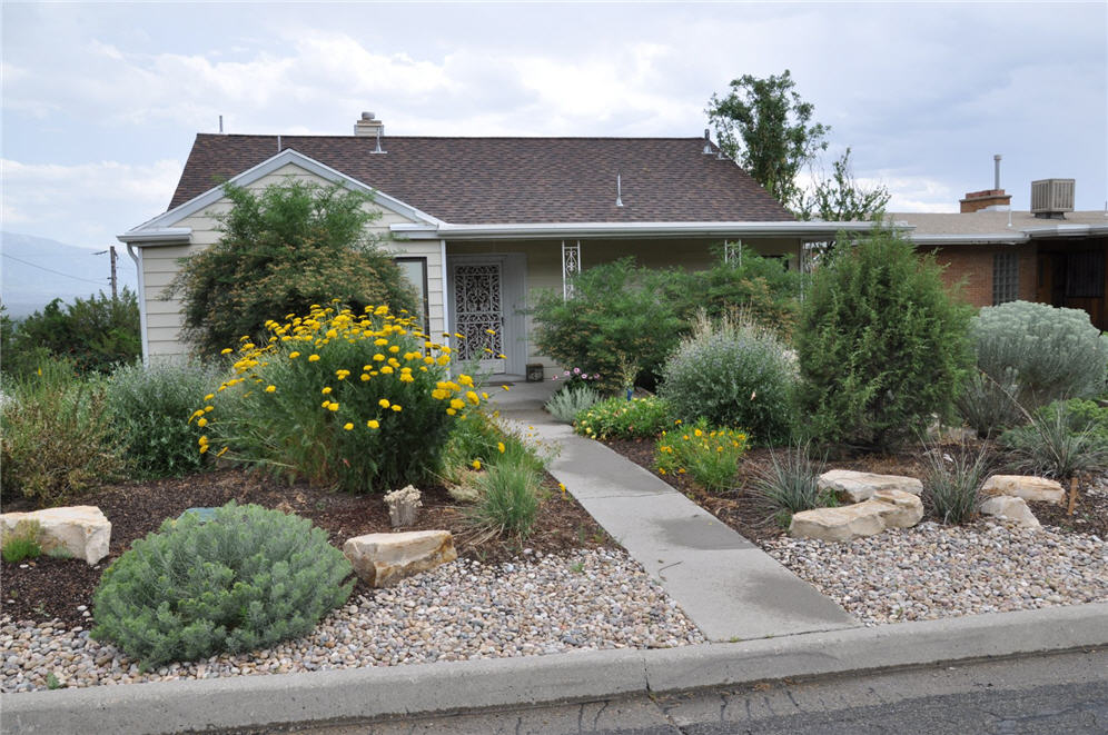 Native Style Garden 1