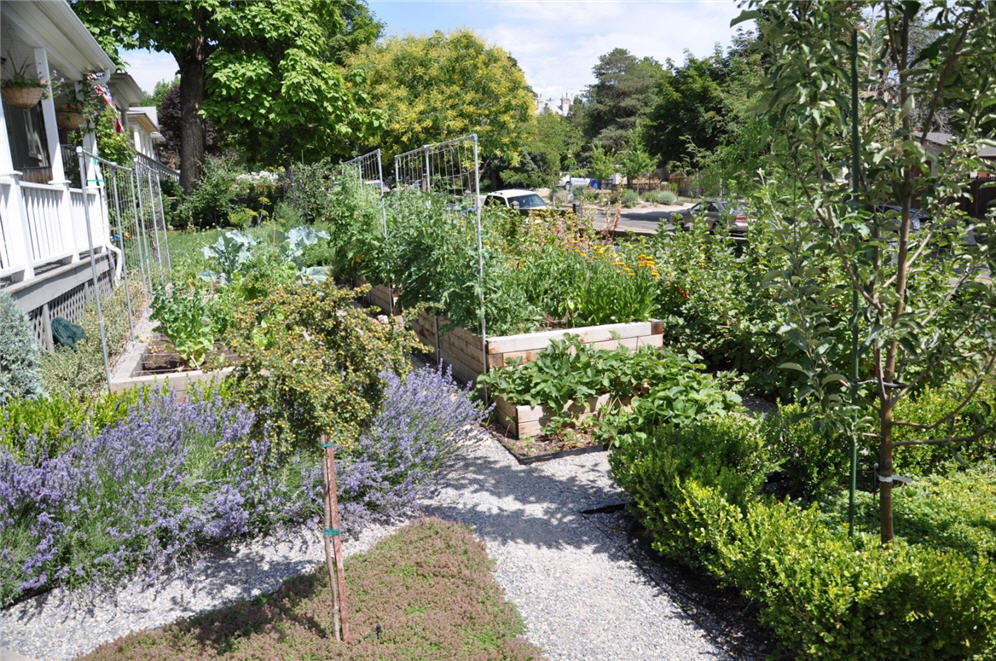 Urban Garden 9