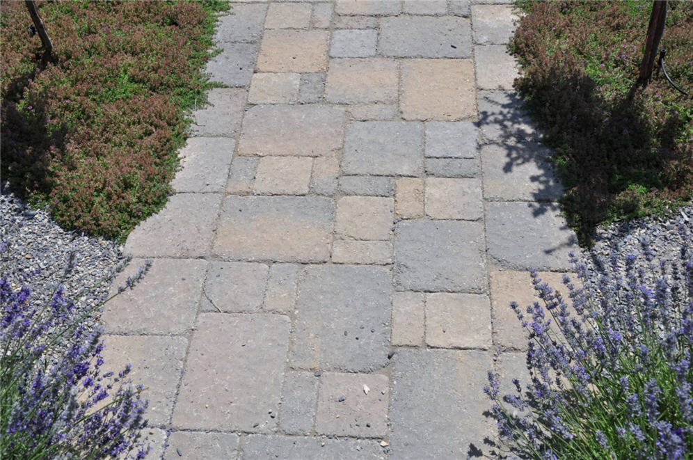 Urban Garden 10