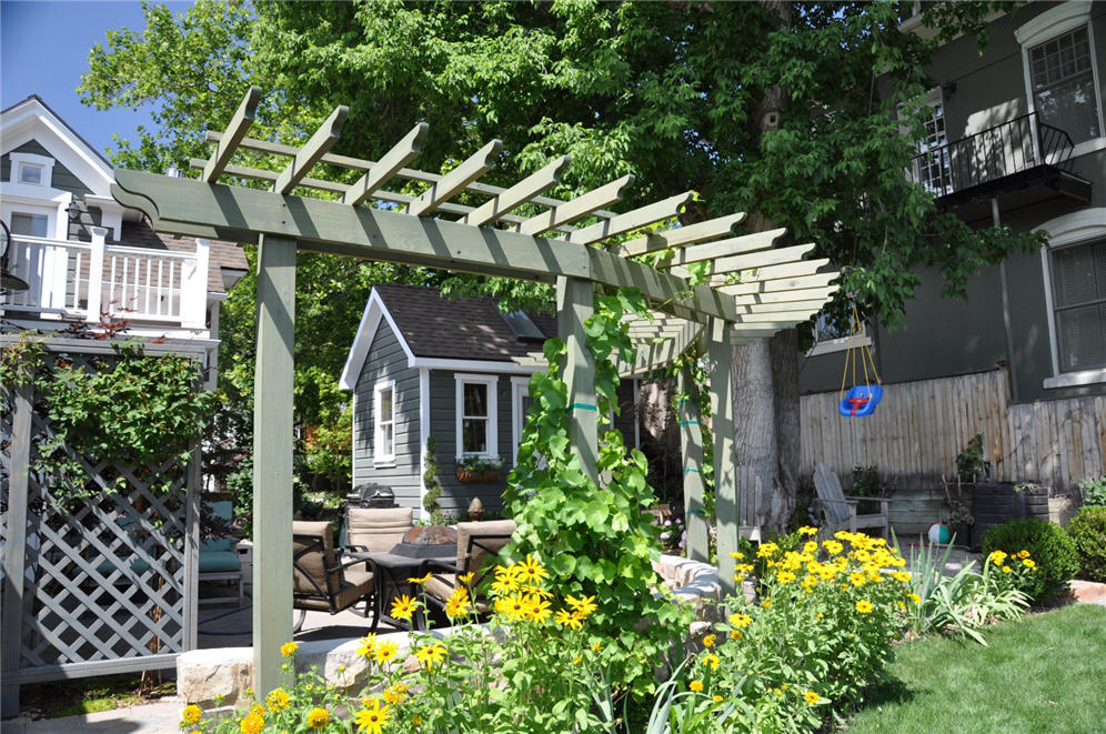 Urban Garden 11