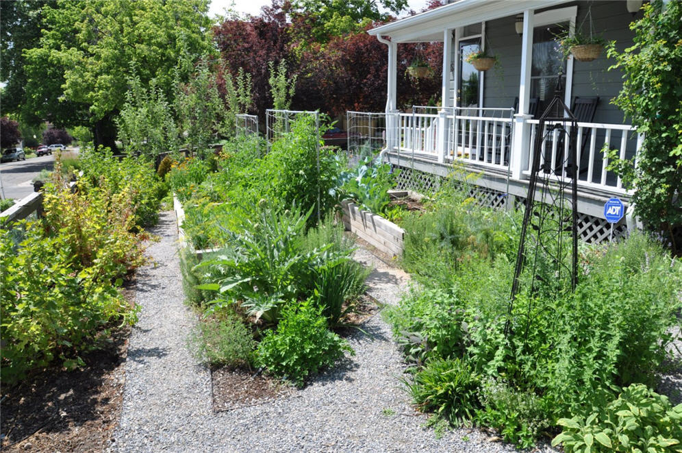 Urban Garden 13