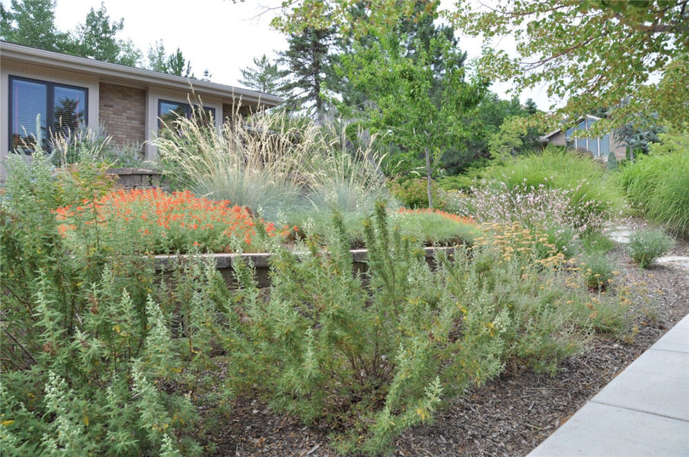 Grand Staircase Garden 9