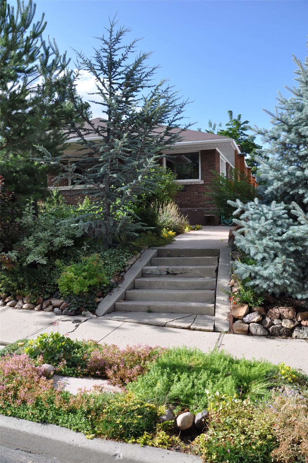 Kelly Home 2