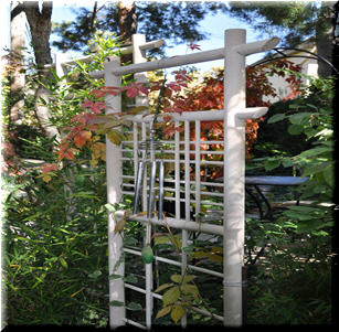 Asian Garden