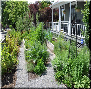 Edible Gardens