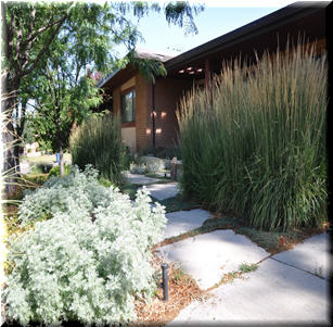 Gentle Slope Garden