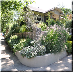 Green Corner Garden