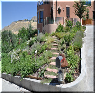 Hillsides