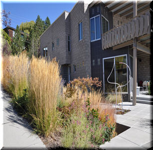 Modern Style Garden