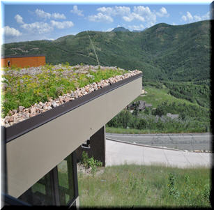 Rooftop Gardens