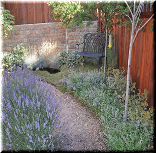 Urban Pocket Garden