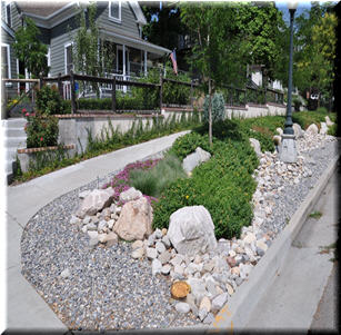 Urban Garden