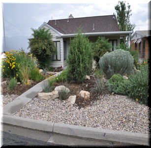 Utah Native Garden