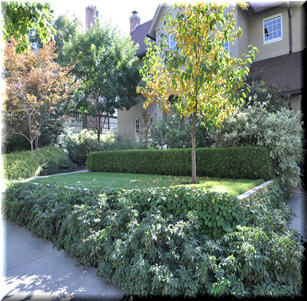 Stately Elegance Garden