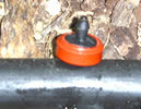 In Line Emitter